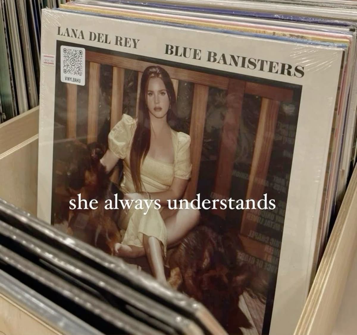 gabrimoonn's tweet photo. lana del rey https://t.co/MqAJQmEcIF