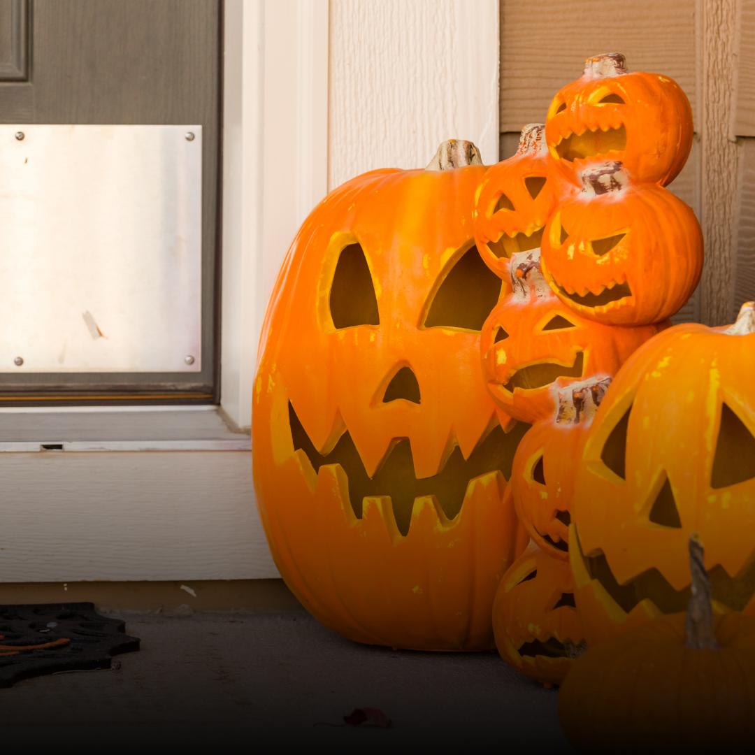 KickapooShawnee's tweet photo. How are YOUR decorations coming along? 🎃 Comment below! ⬇️💬
😱 Not started...
😎 Working on it!
😈 All done!
💀Not doing any this year. https://t.co/LJhkWkvma5