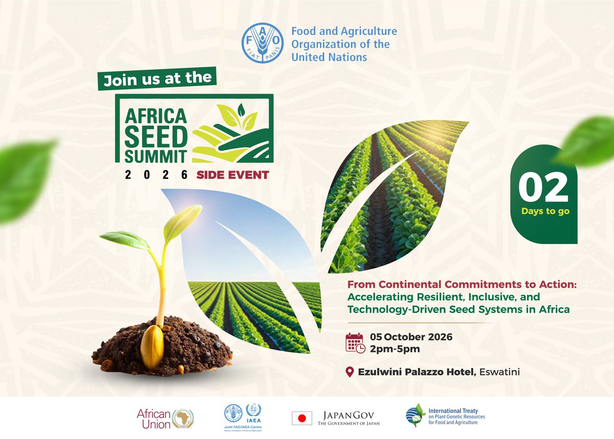 FAOEswatini's tweet photo. What will Africa’s seed systems look like tomorrow?
On the margins of the #AUSeedSummit, @FAO & @iaeaorg will convene a side event at Ezulwini, Eswatini on 5 October 2026 to advance resilient, inclusive & technology-driven seed systems, linking innovation, farmers & policy. https://t.co/Y30gThYp67