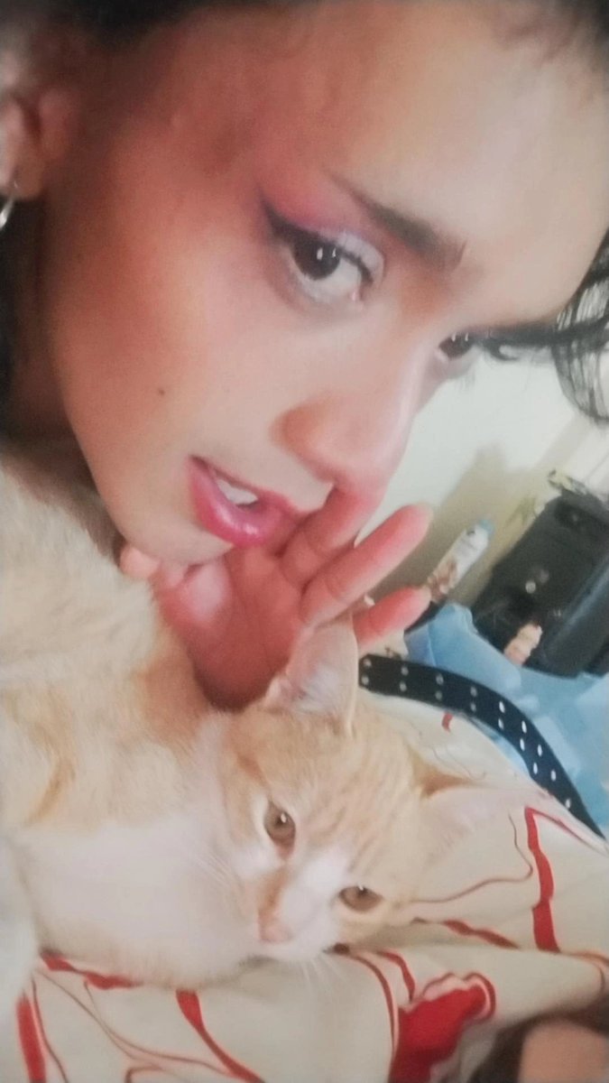 daf_rios6797's tweet photo. Intimas de parri🗼🐈
#minino #gato #cat #wicked #wich https://t.co/iRhXHXAxV3