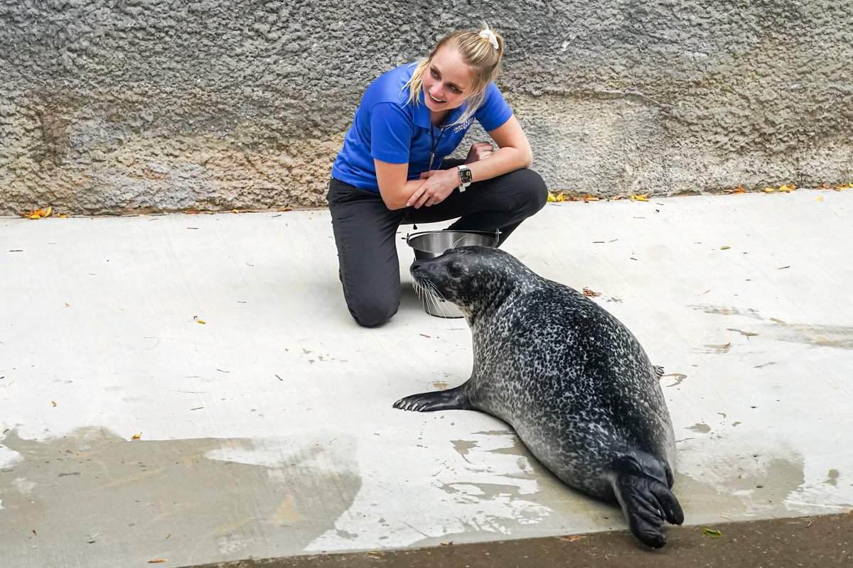 AqNiagara's tweet photo. 🎵 Guess who's back, back again?
Stryker's back, tell a friend 🎵 

Stryker is back on exhibit in Rescue Harbor! https://t.co/rHxYqjnBj4