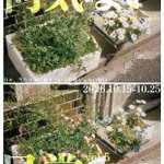 Photo by Artandselection～ARTSTORE IYN・Gallery IYN～公式 (@artandselection)