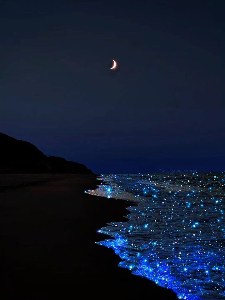 purelivn's tweet photo. blue night https://t.co/R9PJfrJIvz
