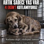 Photo by hkoc (@halit_koc)