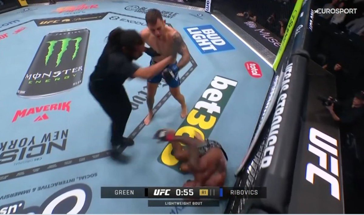 SpinninBackfist's tweet photo. ESTEBAN RIBOVICS KNOCKS OUT KING GREEN https://t.co/Obg0J0IVGg