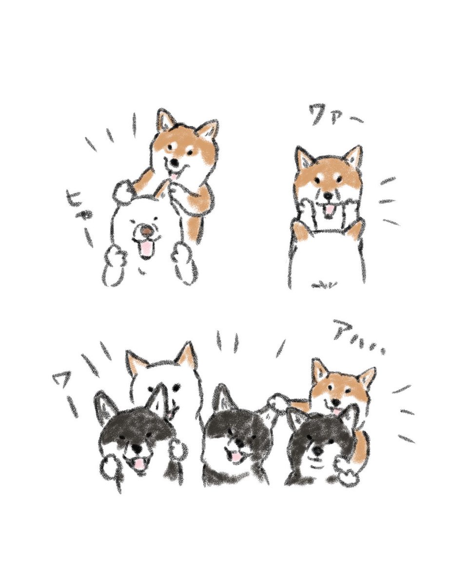 shimashimalog's tweet photo. https://t.co/zs0NzcXG4F