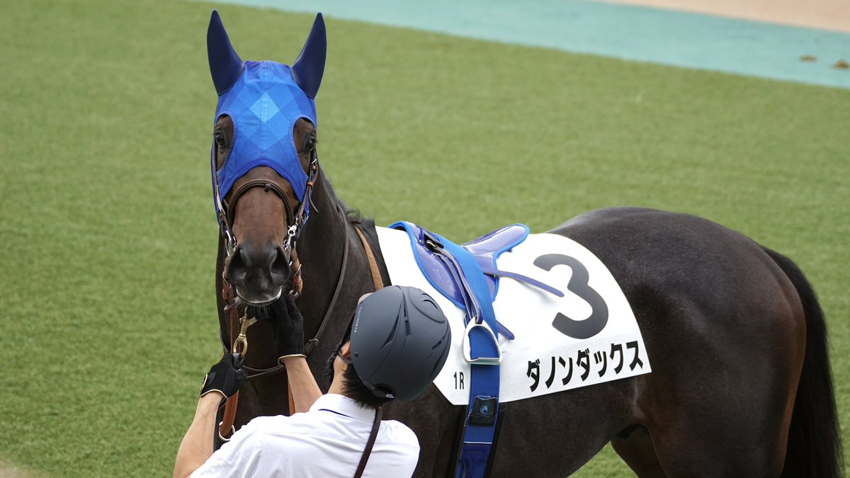 Szhx7's tweet photo. リバティの半弟ダノンダックスくん快勝🐴 https://t.co/JpxOJuUOLd