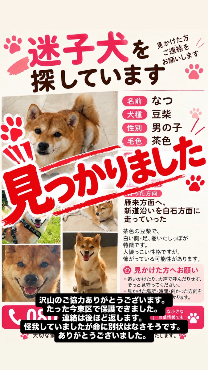 8wdyagicha_16's tweet photo. 今病院の検査の為ばたついており
簡単なご報告となってしまいすみません🙇‍♀️
沢山のご協力本当に感謝しています。 https://t.co/XmBg8GVUMg