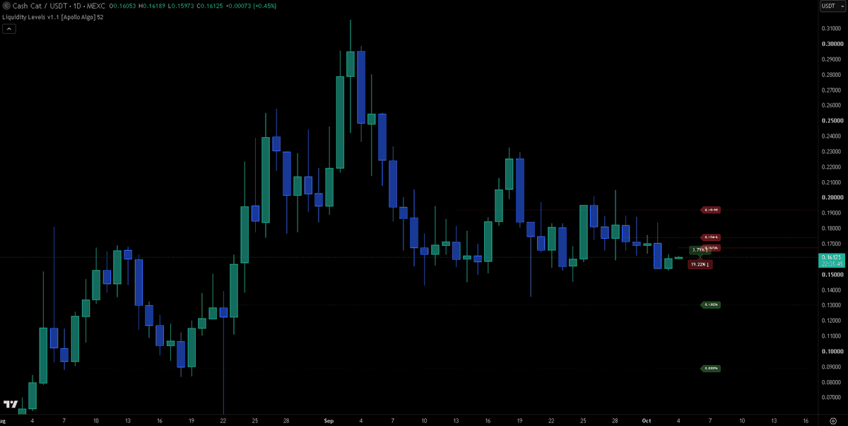 the_cia_hacker's tweet photo. the last Liquidity Levels on $cashcat via @ApolloAlgo 

0.174 &amp; 0.192

after these are broken &amp; we get a close above on high time frames 

its straight to ATH https://t.co/bs9k83Axvx