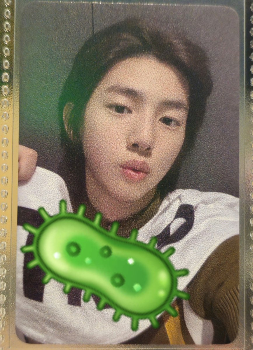 hhhhzzzzttt's tweet photo. iyess sebetulnya balik lagi ke selera masing masing. misal ga nyari yang harus tahan banting, clear sebetulnya oke kok (tergantung seberapa sering kamu otak atik binder juga). tapi aku ga saranin buat yang males ganti ganti untuk jangka panjangnya

soal frosted + frosted, depends penggunaannya gimana. contoh, kalo suka foto foto pake both sleeve, kamu masalah gaa dengan combonya yang ngebentuk tekstur berpasir dari jarak deket? menurutku kalo buat disimpen aja, sebenernya diliat biasa ga seoverwhelming di foto kok

ini aku kasih sample foto frosted + frosted, kiri no flash dan kanan with flash yaa