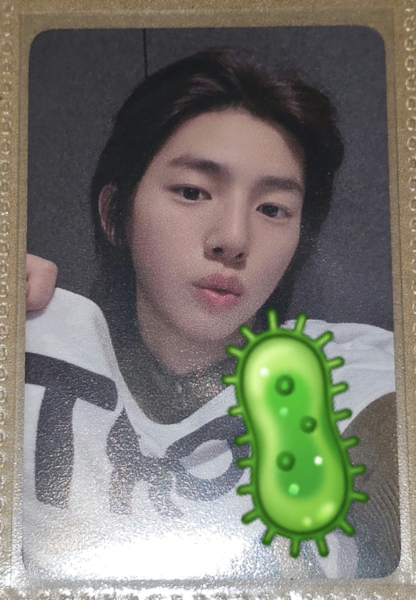 hhhhzzzzttt's tweet photo. iyess sebetulnya balik lagi ke selera masing masing. misal ga nyari yang harus tahan banting, clear sebetulnya oke kok (tergantung seberapa sering kamu otak atik binder juga). tapi aku ga saranin buat yang males ganti ganti untuk jangka panjangnya

soal frosted + frosted, depends penggunaannya gimana. contoh, kalo suka foto foto pake both sleeve, kamu masalah gaa dengan combonya yang ngebentuk tekstur berpasir dari jarak deket? menurutku kalo buat disimpen aja, sebenernya diliat biasa ga seoverwhelming di foto kok

ini aku kasih sample foto frosted + frosted, kiri no flash dan kanan with flash yaa