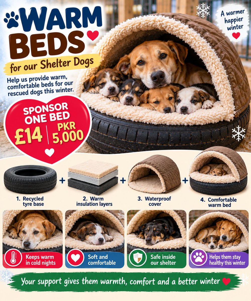 tawf_uk's tweet photo. ❄️ OUR FIRST WINTER AT THE NEW SHELTER — AND WE ARE NOT READY. 💔🐾

Pakistan’s winter can be bitterly cold, and hundreds of rescued dogs — including puppies, mothers, elderly dogs and recovering patients — need warm beds before the cold arrives.

For months, we have been searching for the most practical and affordable solution. We believe we have finally found it: turning used tyres into strong, insulated and comfortable winter beds. ❤️

🐾 SPONSOR ONE COMPLETE BED:
£14 / PKR 5,000

Can’t sponsor a whole bed? £1, £2, £5 or PKR 500 — many small donations together can make one. Every little bit helps us prepare another warm bed.

Please help us get them ready before winter arrives. 🙏❤️

🌐 https://t.co/oXSr4wVrKD

PLEASE SHARE/REPOST — your share may reach someone who can give one rescued dog a warm bed this winter. 🐾❤️