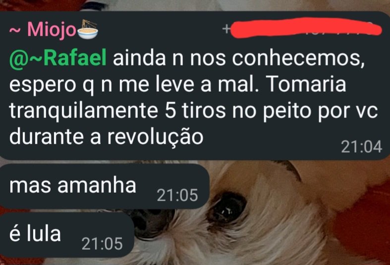 Lucckaiser's tweet photo. To rachando com esse caba no grupo de greve do iq dps q postaram colinha da UP https://t.co/APniqeEs78