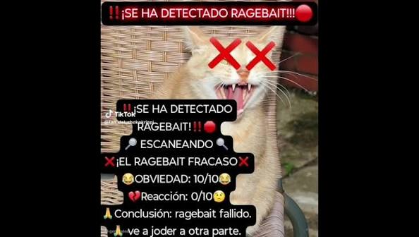 103yeeee's tweet photo. @Eltomex56 https://t.co/gkAWY44Fqh