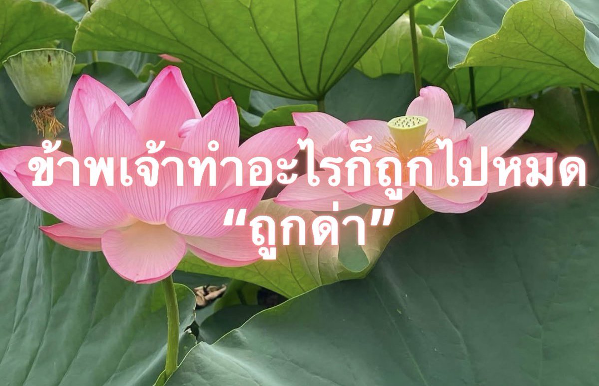 Iaunza's tweet photo. แต่ละเดย์ https://t.co/iC91DlYAPI