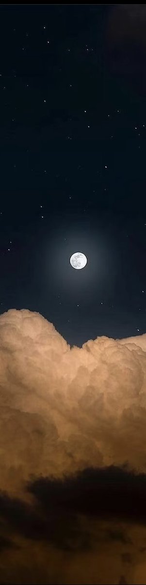 naturehealyou's tweet photo. moon 🌙 https://t.co/H6MJWJO8Gj