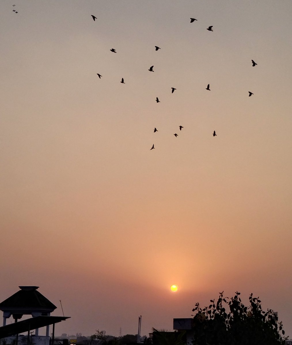 DrAlkaRay2's tweet photo. A golden Sunrise to celebrate the gold haul at the #AsianGames 
Happy Sunday 
आपका दिन मंगलमय हो 
#ॐ_श्री_आदित्याय_नमः 
Day 1453 of being homeless and battling on.....
#JusticeforAlkaRay 
#theme_pic_India_Sunrise https://t.co/ZTGytLKm8W