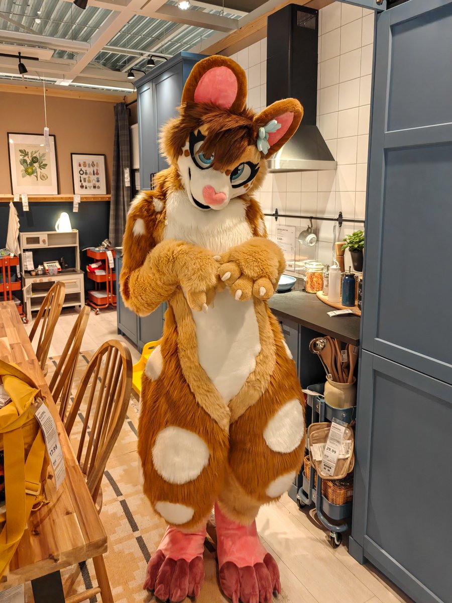SaraTheMouse's tweet photo. Do you have cheems 🧀!? 🥺👉👈 https://t.co/SzmcQHbYsD