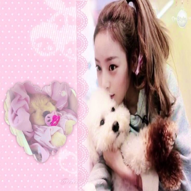luluyesok's tweet photo. #kpoptwt  #moothunt :  day 2 ! 🐰

 she / her    ,   14  !  , looking 4 gg moots !
  :  fav  gg’s ৎ   
  loona  / artms 
  iz*one  / ive 
  aespa
  snsd 
  kara 
  illit
  f(x)
  ♡︎／↻  to  be moots 
  #stantwt       #promotwt https://t.co/ys4DLPIbqe