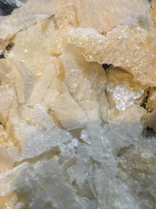 marklawsonn01's tweet photo. Best Consumption Method
You can also dry, powder, &amp; place in capsules or ‘STB’ extract mescaline.
I recommend removing the outer skin after freezing, along with the core. Then cap/extract it. This avoids the intensely bitter tea that you normally have to drink(salt can help).6/11 https://t.co/doNDfxCtoV
