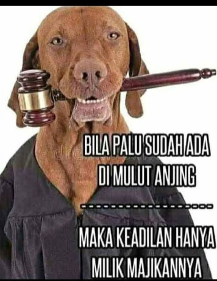 MBro81991259's tweet photo. @DS_yantie Lihat ini..... Tua2 keladi https://t.co/H6BXFpbb1P