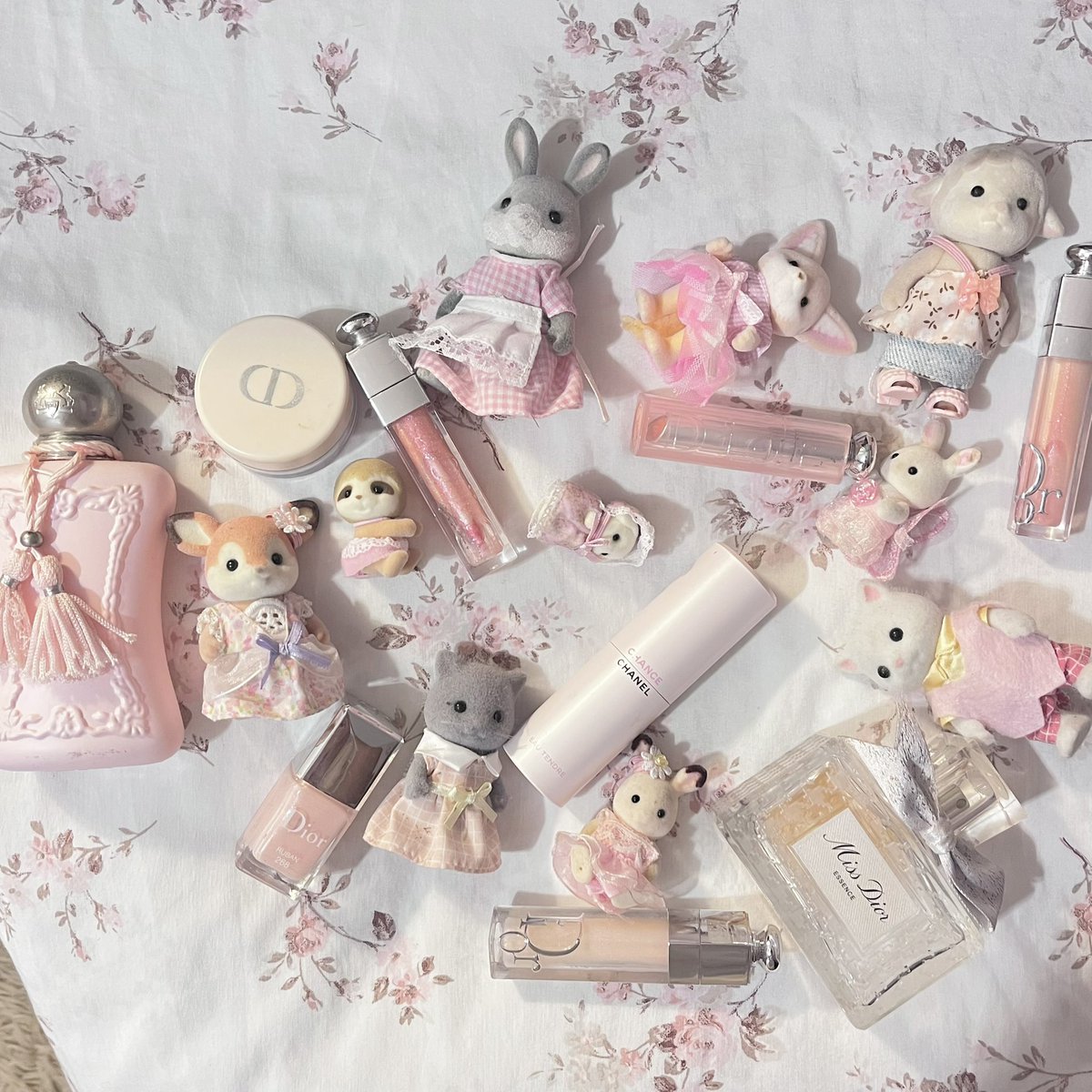 sylvbunnie's tweet photo. all pink 🩷🤍💭 !! https://t.co/OIIE7yJvMM