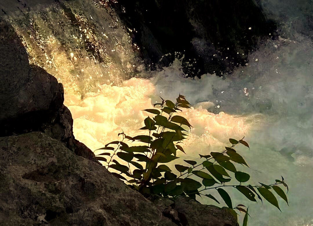 KeithThompjczv's tweet photo. [When the wind lets all rapids rush, joy cuts through every tired moment ]， https://t.co/998PuTX62w