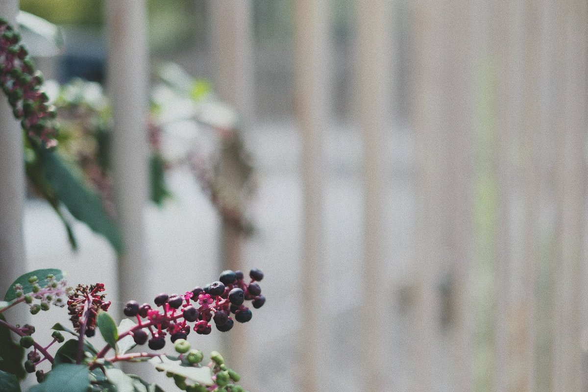 yczx38's tweet photo. 休みが欲しい
連休が欲しい
#写真 #xf35mmf14r https://t.co/TOCWyAVfFS