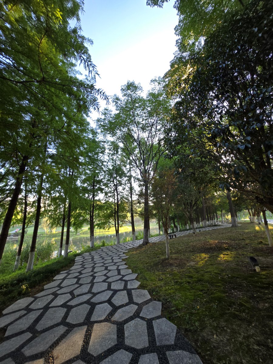 cid_naranjo's tweet photo. 🌱☀️
 緑に囲まれた朝、今日も穏やかな一日を。 https://t.co/fvzcKlQN0E