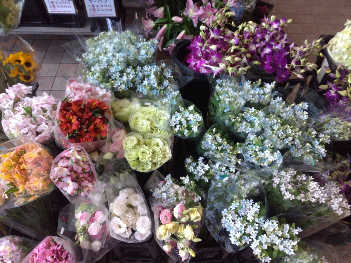 WF_bessho's tweet photo. おはようございます☁🌬️✨️
ワールドフラワー開店致しました！

新鮮な切花・季節の鉢花・
かわいい観葉植物が
大変お買い得となっております！

お祝いや御供えに【胡蝶蘭 】

お庭で毎年お仏花を収穫
タダで御供え【ガーデンマム】

是非ご来店ください！

#上大岡　#イトーヨーカドー横浜別所店 https://t.co/36ua5Vwpzr