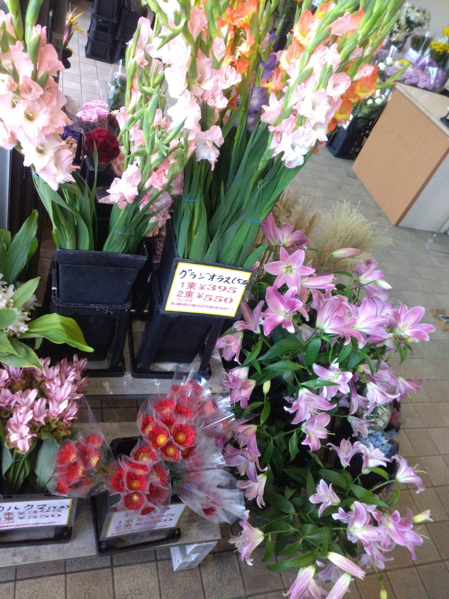 WF_bessho's tweet photo. おはようございます☁🌬️✨️
ワールドフラワー開店致しました！

新鮮な切花・季節の鉢花・
かわいい観葉植物が
大変お買い得となっております！

お祝いや御供えに【胡蝶蘭 】

お庭で毎年お仏花を収穫
タダで御供え【ガーデンマム】

是非ご来店ください！

#上大岡　#イトーヨーカドー横浜別所店 https://t.co/36ua5Vwpzr
