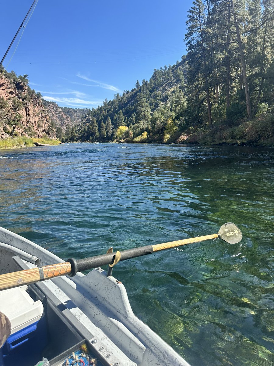 BrunoSamar1717's tweet photo. Brown trout for days!!! https://t.co/C4tlsAx974