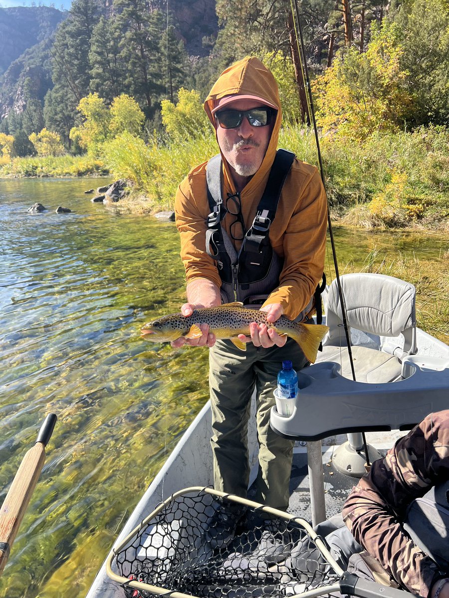BrunoSamar1717's tweet photo. Brown trout for days!!! https://t.co/C4tlsAx974