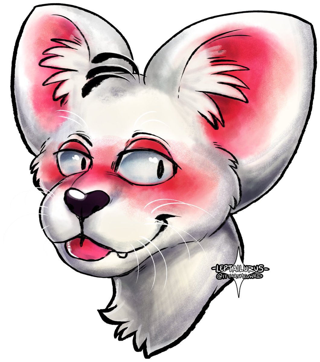 beastyrabbit's tweet photo. Diddl is all ears and looking extra pleased with that look.
Art by @ItThatMeowed
#Diddl #realcat #cat #WACA #cuteart #commission https://t.co/xuw61QxrEs