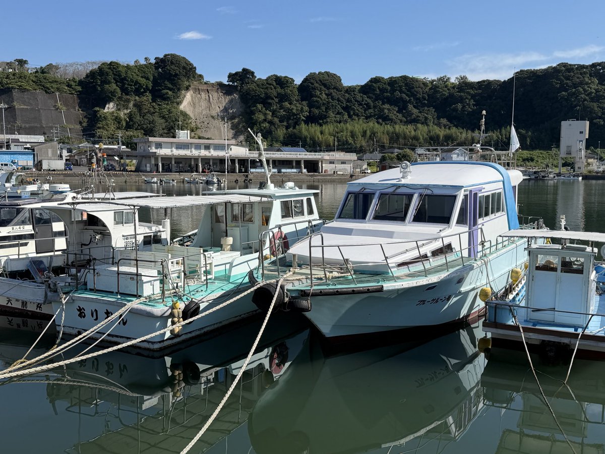 wakanatsu_com's tweet photo. 巡視艇「りんどう」はお出かけ。
大町商事さんちの「たみ丸」、「ブルーサルーン号」と「おりおん」、日南線のディーゼルカー。 https://t.co/FQ66zQGxNq