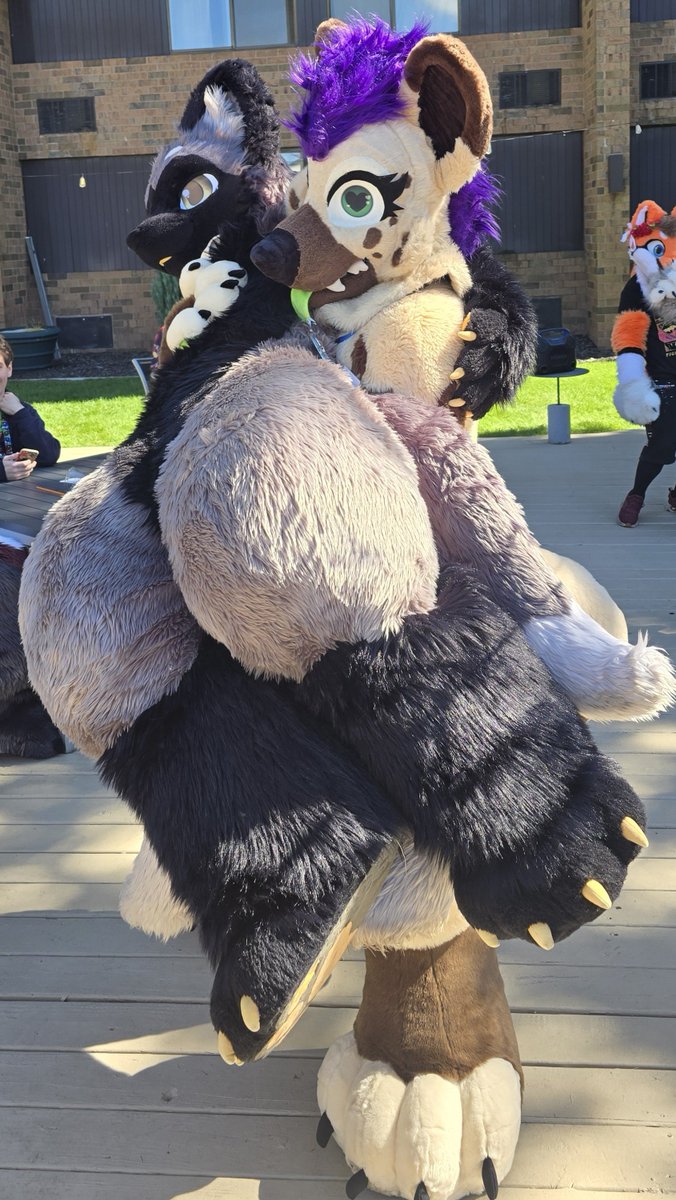 MaestroIgnitex's tweet photo. Some #MichiganAnthroWeekend #MAW2026 Day 2 fursuit photos as Lumis! https://t.co/AIA0YTyIYx
