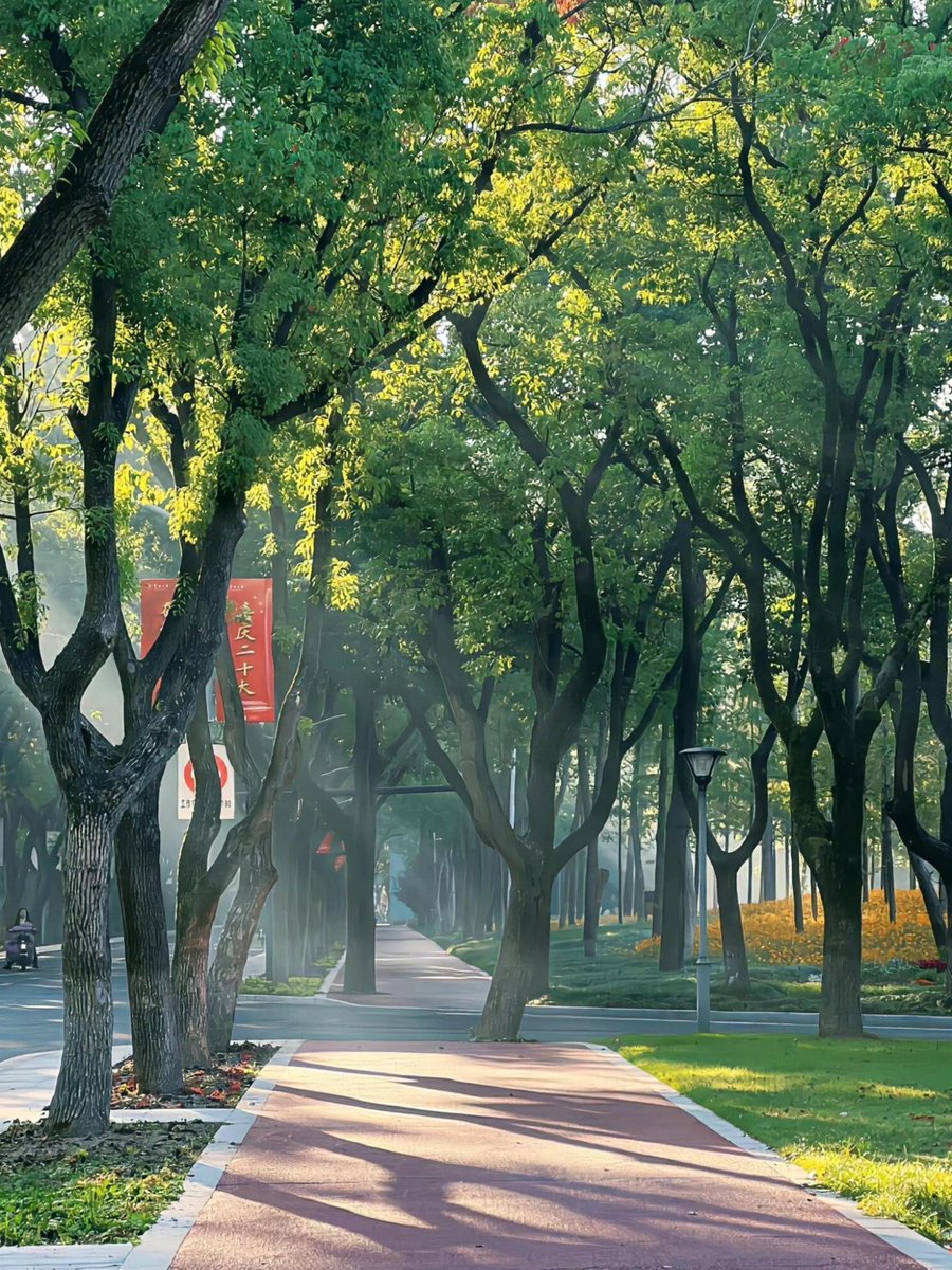 AlexanderMyiqc's tweet photo. [When the scorching sunlight laughs over the quiet street, every tiny thing shines bright with warmth.] https://t.co/z2g8Tu3bpE