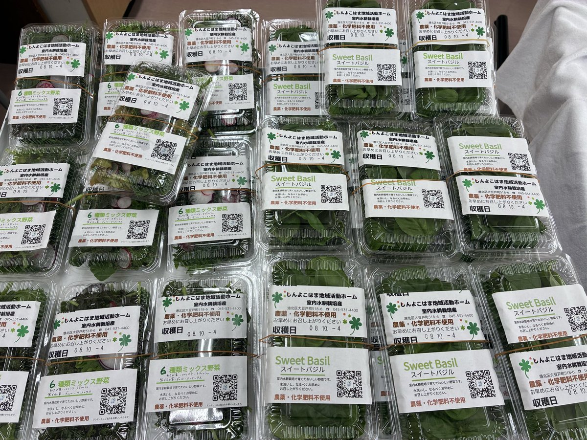 ohc_agriwell's tweet photo. 社会福祉法人横浜共生会
しんよこはま地域活動ホーム
（横浜市港北区:生活介護）
作業室4（通称:わくぽに）室内
有機水耕栽培

秋です10月４日(日)の共生まつり
第三京浜都筑インターから程近い
横浜共生会本部「よこはまライズ」にて
室内有機水耕栽培で育てた
野菜とハーブを販売してます‼️ https://t.co/gTzcBfmxZW