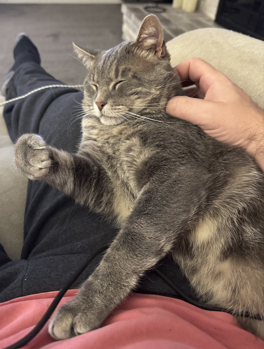 MeowRocketGo's tweet photo. https://t.co/kIJdmN6uKJ