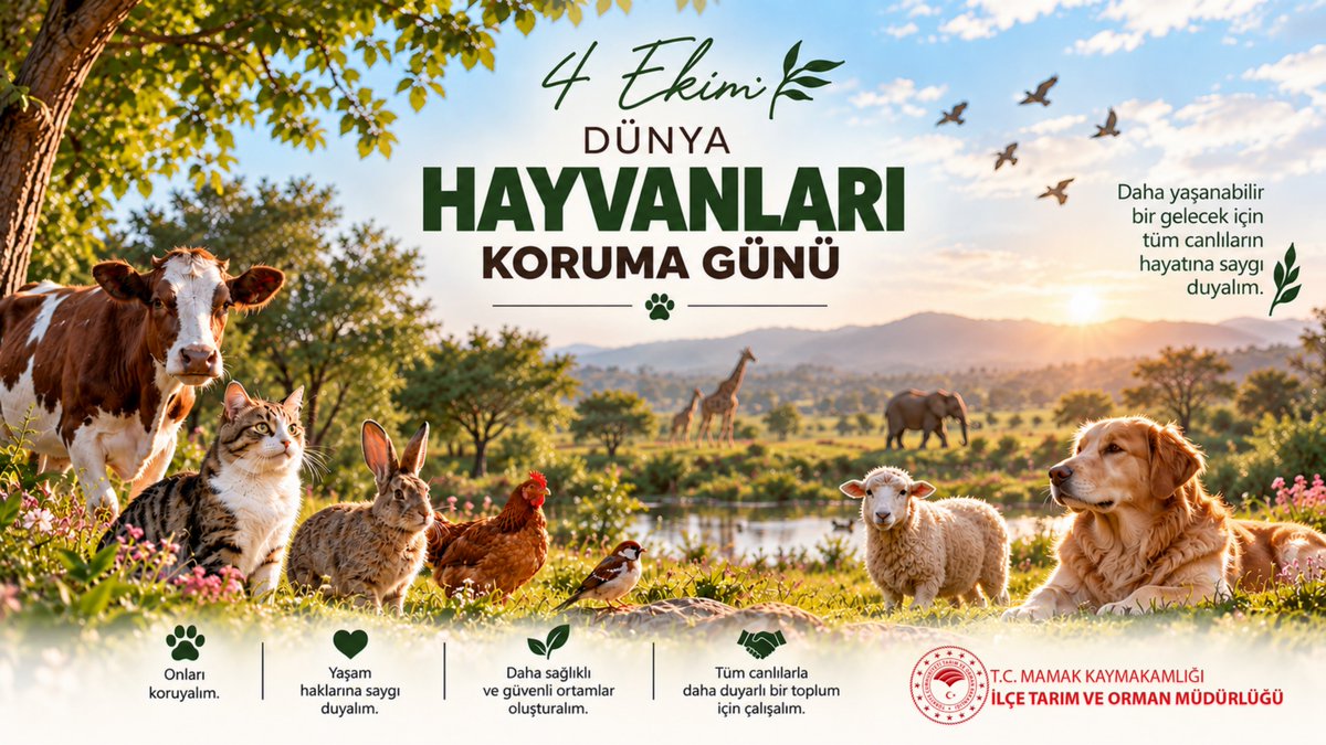 mamaktarim's tweet photo. Hayvanların korunması, refahının sağlanması ve insan-hayvan sağlığı arasındaki dengenin gözetilmesi; sağlıklı ve güvenli bir toplumun önemli unsurlarındandır.
Bugün vesilesiyle tüm hayvanları koruyor, yaşam hakkına ve refahına yönelik duyarlılığın artmasını temenni ediyoruz. https://t.co/0ZKFUI2wIR