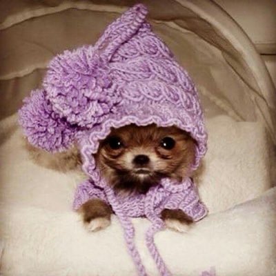 ziseraxo's tweet photo. @whatthedamn004 https://t.co/BrC7A5gCJp