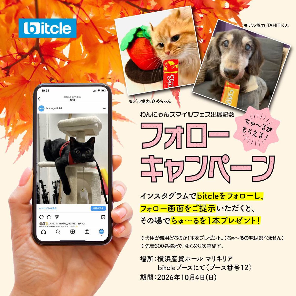 bitcle's tweet photo. 本日、横浜で開催されている
『わんにゃんスマイルフェス 2026・秋』bitcle出店しております👏

🎉 限定33セットキャンペーン開催！ 🎉
わんにゃんスマイルフェスにちなんで、
今回だけの特別セットを
すべて6,600円（税込）で販売します✨

ぜひbitcleブースへ遊びに来てください🐾✨ https://t.co/31hYEWnNgS