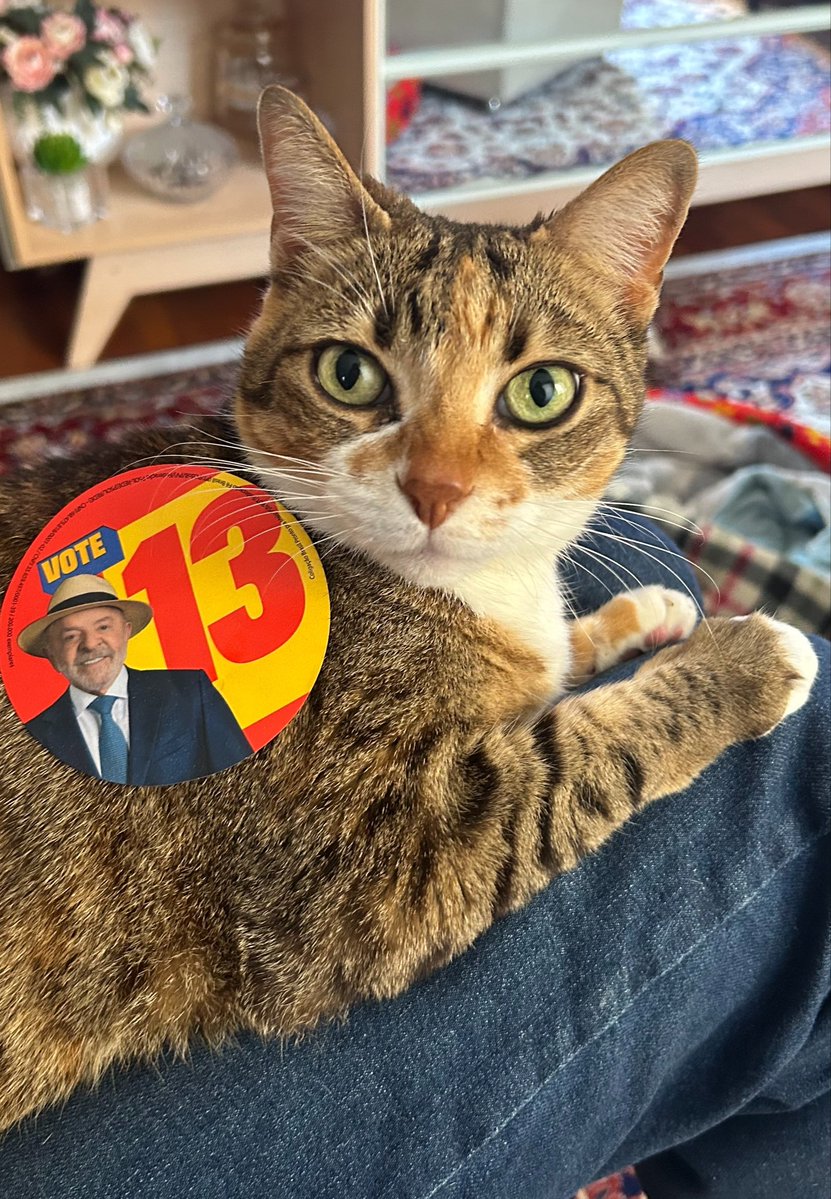 boboaniii's tweet photo. GATAS ZOIUDAS COM LULA https://t.co/HZkUnbnCty