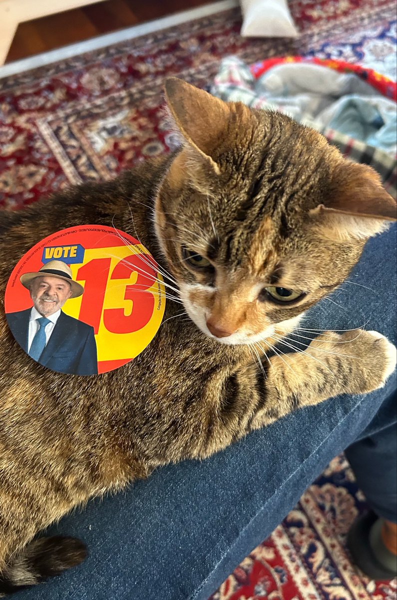 boboaniii's tweet photo. GATAS ZOIUDAS COM LULA https://t.co/HZkUnbnCty