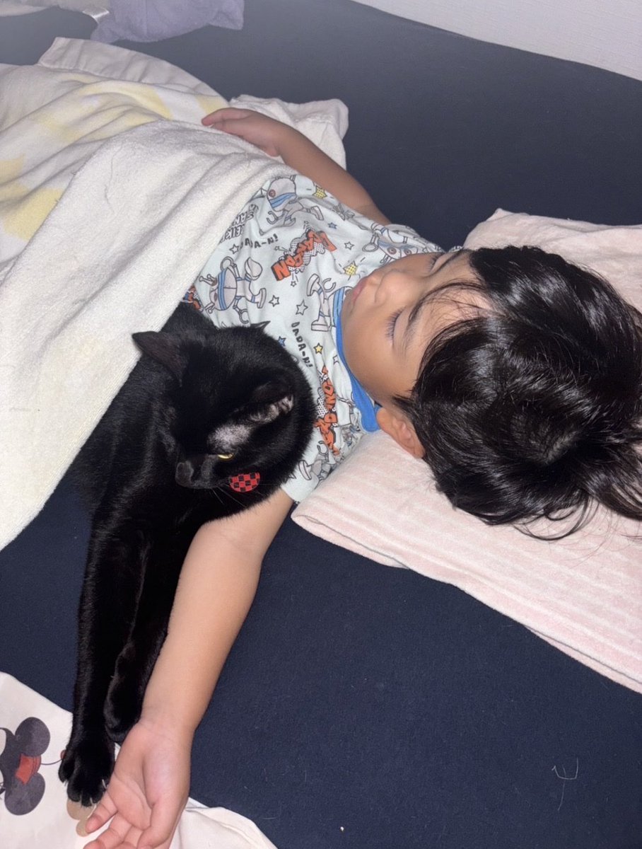 R453374510's tweet photo. 添い寝の仕方が美しい
長男猫と四歳児の寝姿 https://t.co/FFrY0Rkv9R