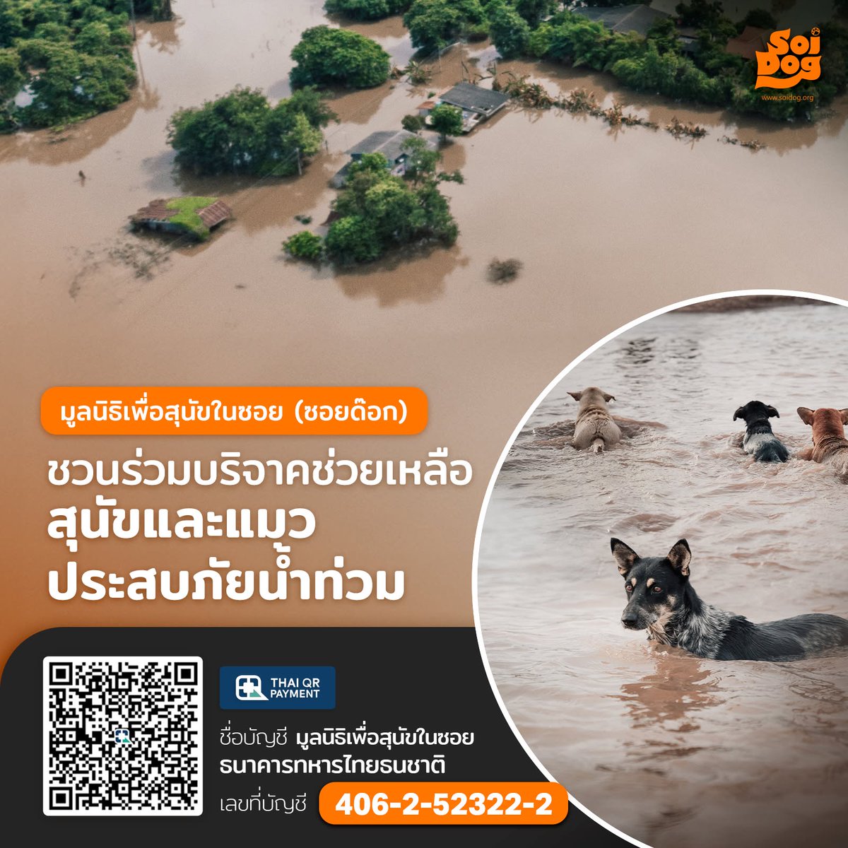 soidogthailand's tweet photo. ชวนทำบุญวันพระ ช่วยเหลือค่าอาหารและบรรเทาทุกข์ให้สุนัขและแมวยากไร้ที่ประสบภัยน้ำท่วม
ชื่อบัญชี: มูลนิธิเพื่อสุนัขในซอย (Soi Dog Foundation)
เลขที่บัญชี: 406-2-52322-2
ธ.ทหารไทยธนชาต (TTB)
https://t.co/jq2GlRrHba
#ทำบุญ #น้ำท่วม https://t.co/WlVdem7ivy