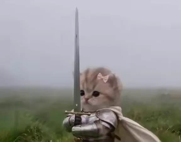 nfadyorky's tweet photo. I see f4ggots trying to vamp Swordcat.

We saw this playbook before. Let me tell you why Knightcat won’t run and is gonna be pure extraction.

So as we know, Troll ran as an OG coin and around 20m supposedly the OG creator of Trollface launched a coin.

It ran to 10-15m as well, but what happened after ?

It raped to 0 because it wasn’t a community meme it was just an extraction trap.

My take on Knightcat is they are psyop’ing y’all, saying “Jean Phil and Derek Mencer is running with the creator.” 

Hello, are you dumb ? No one is creating content for those characters except the people who are running those accounts. Of course it will be a creator reward based coin.

But for Swordcat, everyone literally every normie is using that cat as a GIF. Only because one account posted that meme and made it more popular doesn’t mean that it is the creator behind it.

Sickmanai’s oldest post using Swordcat is 3 weeks old. I can legit find 1 month old pictures of that cat.

If you see Pow or other big FOMO accounts buying Knightcat, just sell its top and rotate to swordcat.