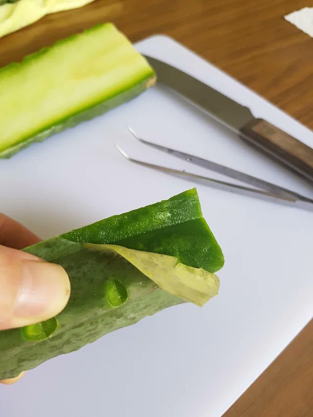 jamessmiths07's tweet photo. Preparation
Often debated. Some people remove the core, outer skin, spines, &amp; others just cut it up &amp; boil it all. Some only consume the green outer layer.

Traditionally, you boil it into a tea, then reduce it until viscous. Some traditions brew tea for 18 days straight. (5/11) https://t.co/mQCVBON6Nj