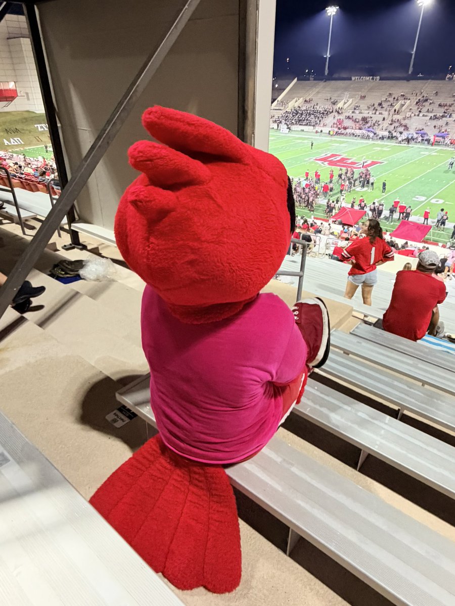 cfbcampustour's tweet photo. 🚨 Obstructed View Alert 🚨

⭐️⭐️⭐️ Featuring Big Red ⭐️⭐️⭐️

🏟️ Provost Umphrey Stadium
🏠 @LamarFootball 
🪑 Section W202 Row 45 Seat 25
👀 41% Field Visibility

THIS SEAT IS NOT SALE IT’S JUST FOR FUN https://t.co/qYe9qhpK1H