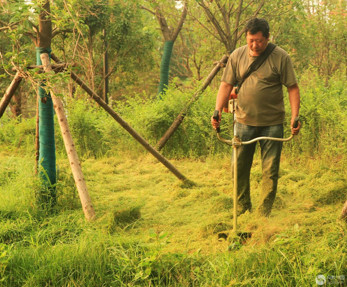 RianS2023's tweet photo. [The sharp awl pierces through tangled weeds, and that slender youth’s hands are always full of tenacious vitality, just like every ordinary day that’s full of unyielding hope.]， https://t.co/Lf1xOa3TDq